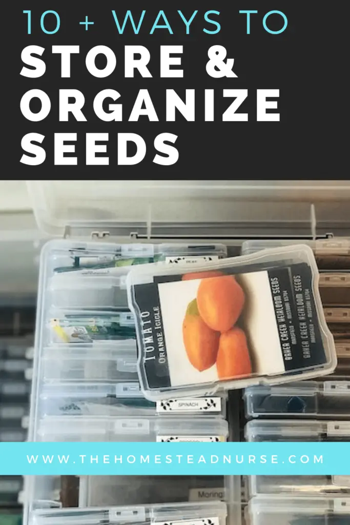 10 and ways to store & storage organize seeds