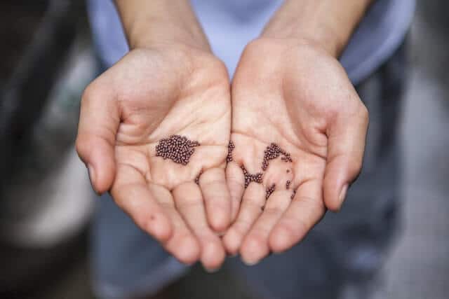 a hand holding up a lot of garden seeds on the palm