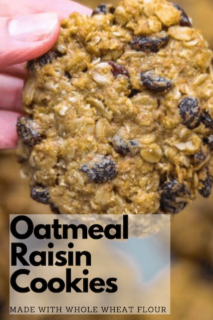 a hand showing a oatmeal raisin cookie