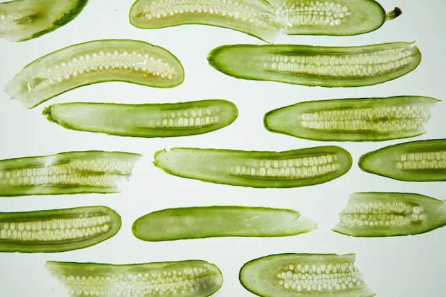 long slices of cucumbers