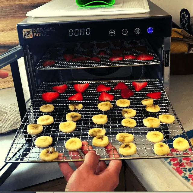 placing sliced strawberries and bannas in a food dehydrator