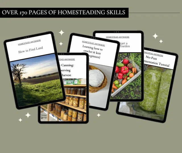 homestead anywhere ebook pages