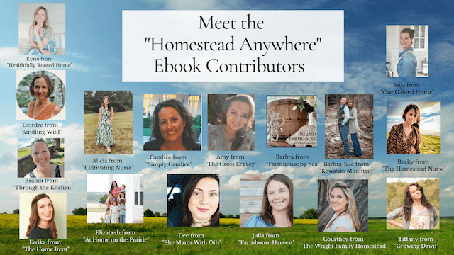 16 different homestead bloggers