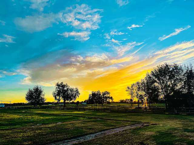 blue and yellow sunset over farm land in Florida