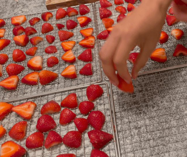 hand placing strawberries on dehydrating tray