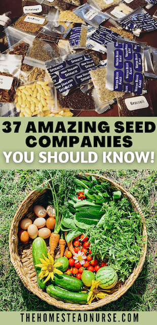 37 AMAZING SEED COMPANIES YOU SHOULD KNOW