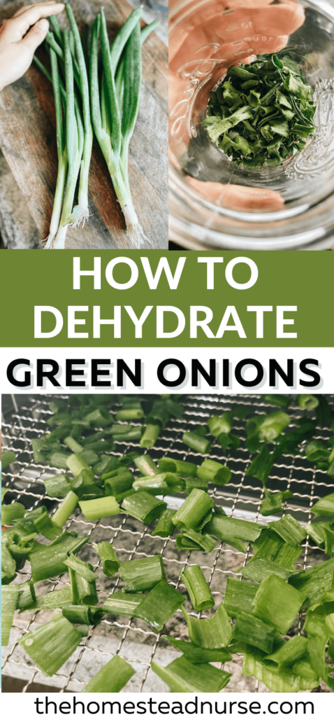 how to dehydrate green onions
