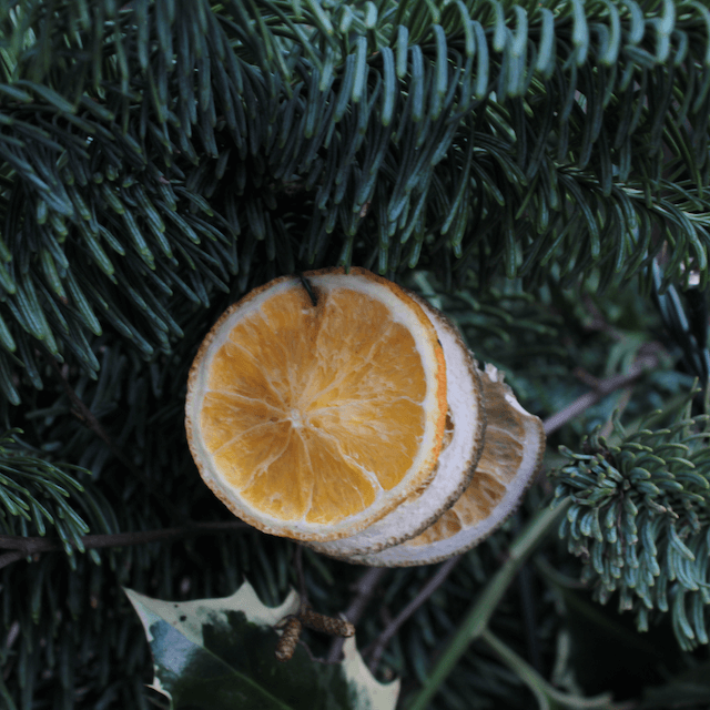 dry orange ornaments